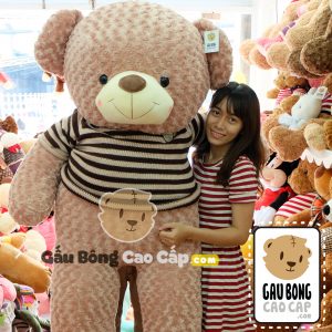 Teddy áo len choco 1m8 Teddy áo len choco 1m8