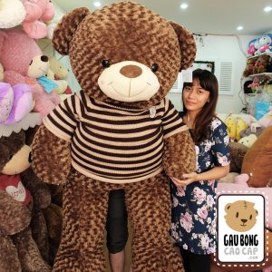 Teddy áo len choco 1m8 Teddy áo len choco 1m8