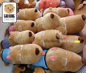 Chó Bông Puco Chó Bông Puco