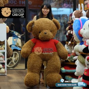 Gấu Teddy lông xù áo len đục lỗ Gấu Teddy lông xù áo len đục lỗ