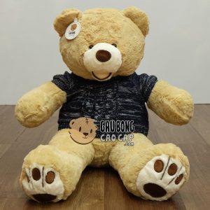 Gấu Teddy Costo mặc áo len Gấu Teddy Costo mặc áo len