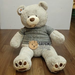 Gấu Teddy Costo mặc áo len Gấu Teddy Costo mặc áo len