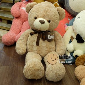 Gấu Teddy nơ nâu ngực tim lông hoa hồng Gấu Teddy nơ nâu ngực tim lông hoa hồng