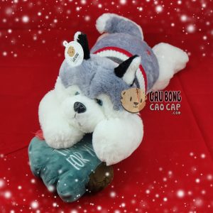 Chó bông Husky Chó bông Husky