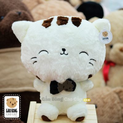 Mèo Bông Mặt Lớn