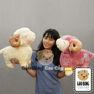 Cừu Bông Sừng