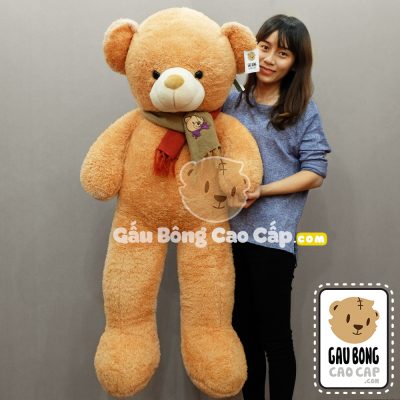 Gấu bông Teddy khăng thêu mặt Gấu