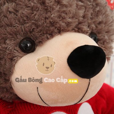 Gấu Bông Teddy áo len LOVES