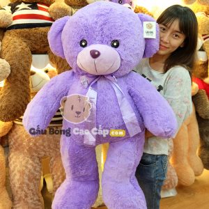 Gấu Tím Hương Hoa Lavender