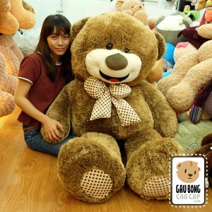 Gấu teddy lông nhím mặt cười