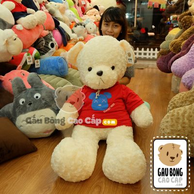 Teddy áo thun mặt gấu