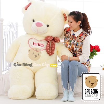 Gấu Bông Teddy Hello BigSize