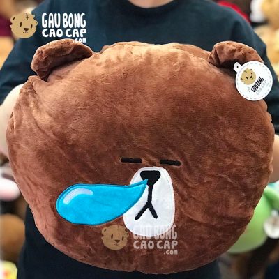 Gối ôm đút tay Gấu Brown