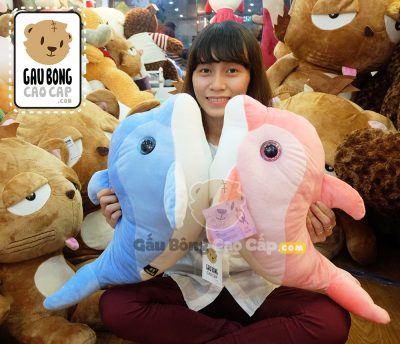 Cá Heo Bông (Mắt lấp lánh)