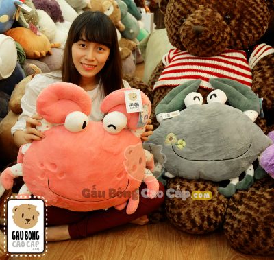 Cua Bông Gối Ôm