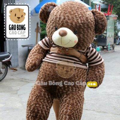 Gấu Teddy áo len Choco BigSize 1m6