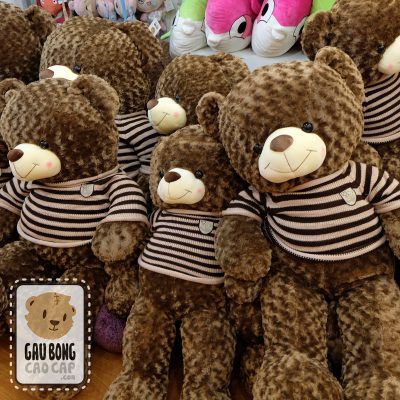 Gấu bông Teddy áo len Choco