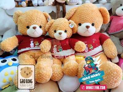 Gấu Teddy áo len lông vàng
