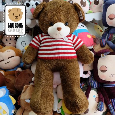 Gấu Teddy Boy Lông Sợi