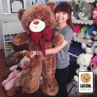 Gấu Teddy Smiley Lông Nâu Nơ Caro