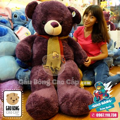 Gấu Bông Teddy tím choàng khăn