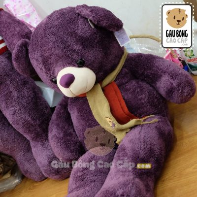 Gấu Bông Teddy tím choàng khăn