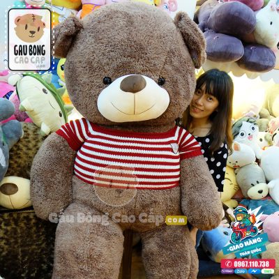 Gấu Teddy Áo Len Lông Sợi
