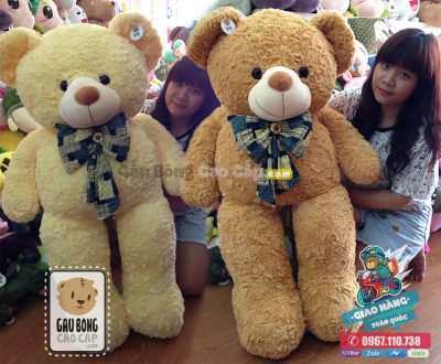 Gấu Teddy lông vàng nơ Caro