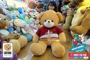 Gấu Teddy áo len lông vàng
