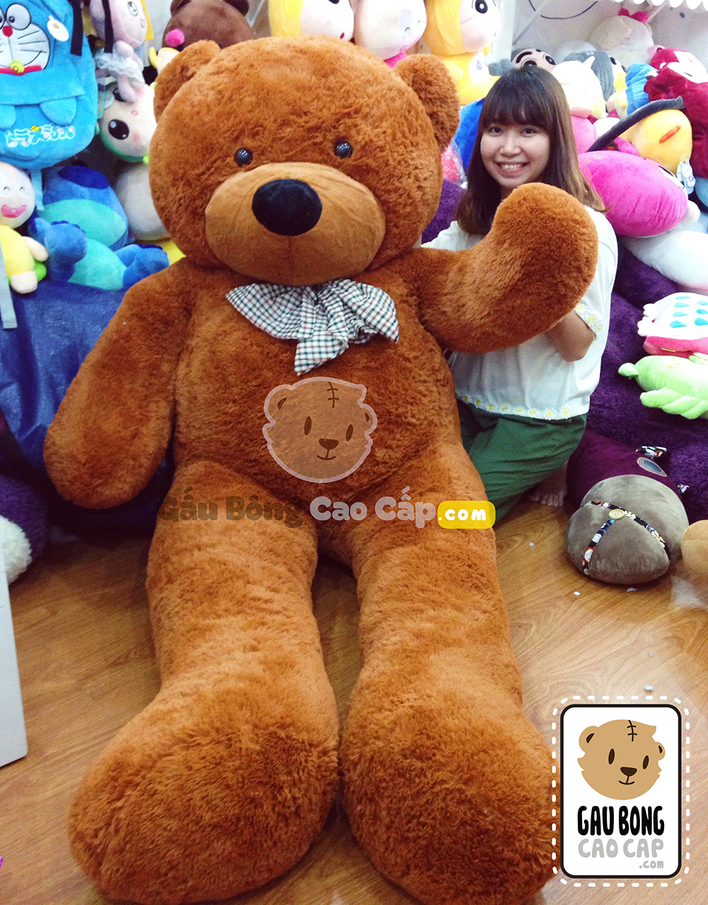Gấu Teddy