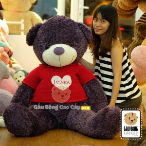 Gấu Teddy áo len LOVE