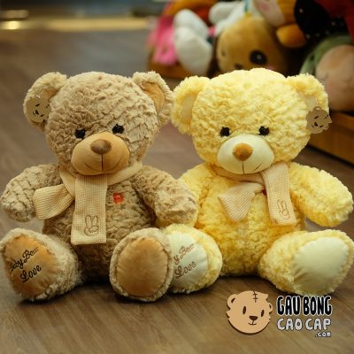 Gấu Teddy lông xù choàng khăn