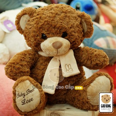 Gấu Teddy lông xù choàng khăn