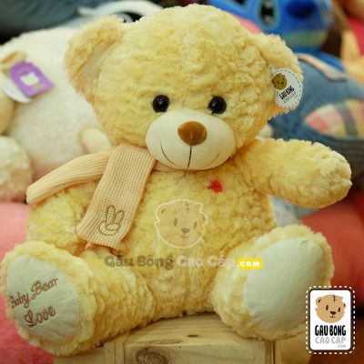Gấu Teddy lông xù choàng khăn