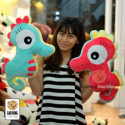 Cá Ngựa Bông Baby