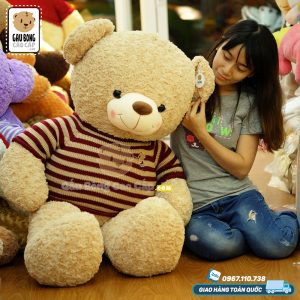 Gấu Teddy áo len cafe sữa