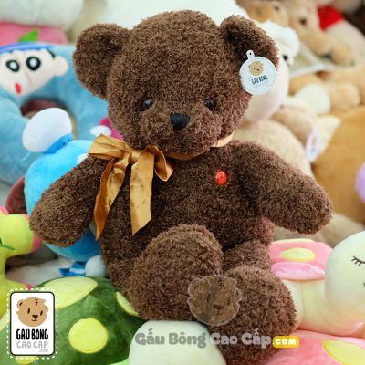 Gấu Teddy lông xù F.R.J