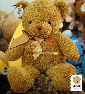Gấu Teddy lông xù F.R.J