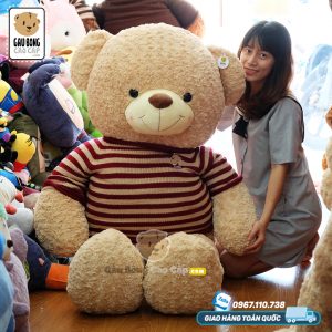 Gấu Teddy áo len cafe sữa