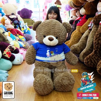 Gấu Teddy Socola áo len LINE