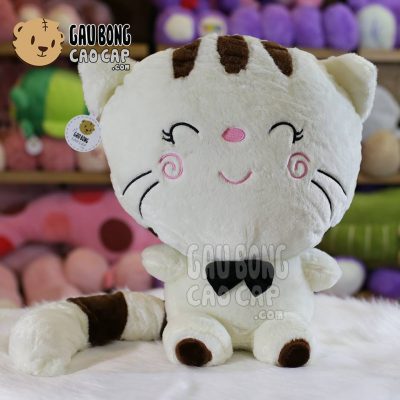 Mèo Bông Mặt Lớn