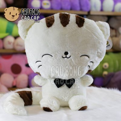 Mèo Bông Mặt Lớn