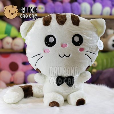 Mèo Bông Mặt Lớn
