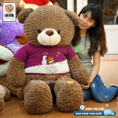 Gấu Teddy Socola áo len LINE