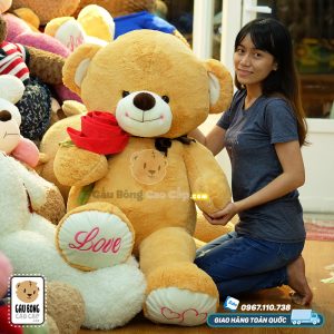Teddy nơ nâu cầm hoa hồng