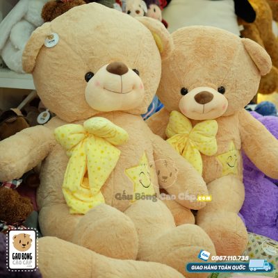 Gấu Teddy nơ sao mặt cười Lucky Star