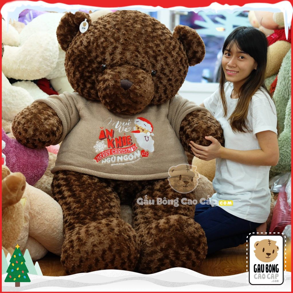 Gấu Teddy Merry Chrismas