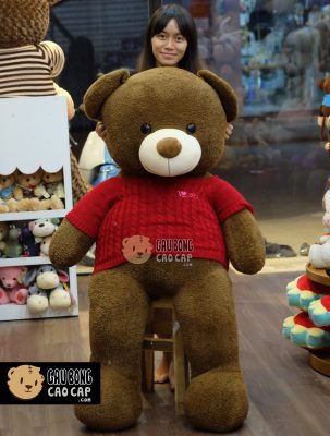 Gấu Teddy lông nỉ áo len LOVE