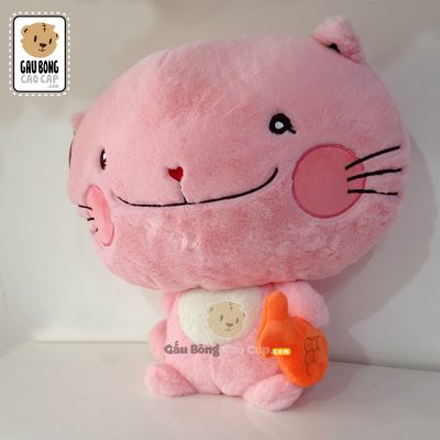 Mèo Bông Bắt Cá