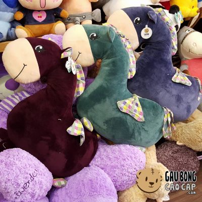 Ngựa bờm caro - Ngựa Bông